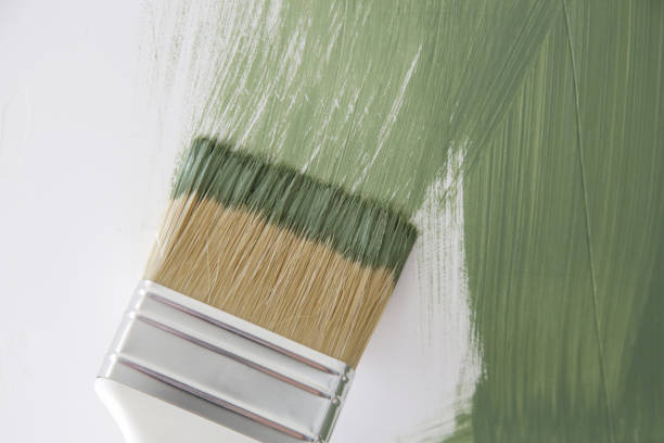 Best Commercial Mold Inspection  in Toledo, IA