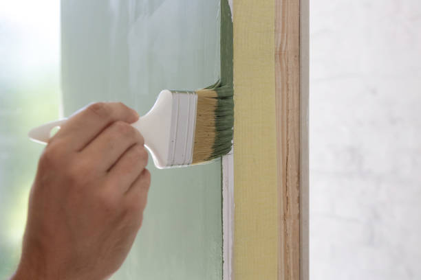 Toledo, IA Mold Removal Company